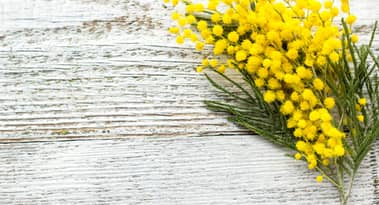 Best places to buy Mimosa (MIMO) after a 400% rise in the last week