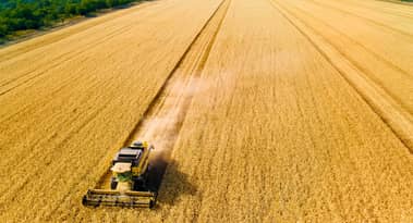 Best places to buy Harvest Finance (FARM) following its 255% rise in 30 days