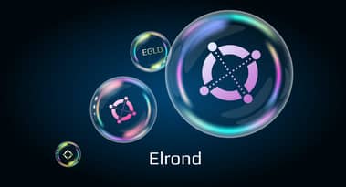Elrond (EGLD) price analysis: correction or end of the rally?