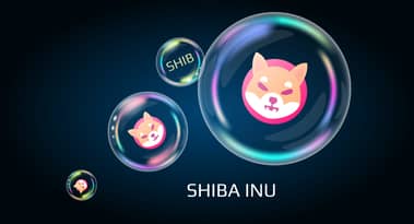 I'm buying Shiba Inu (SHIB) in September of 2021, and this is why!