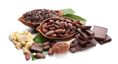 Cocoa tops commodity charts in 2024 as oil and steel face struggles