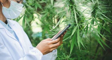 Wat zorgde ervoor dat Flora Growth Corp 35% daalde?