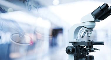 Ist der Kauf von Anavex-Aktien sicher, nachdem die Gewinnerwartungen erfüllt wurden?