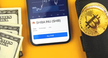 Beste Plattformen zum Kauf von Shiba Inu (SHIB) nach dem Überholen von Dogecoin in Bezug auf die Marktkapitalisierung
