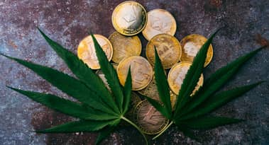 Topp 3 mynt med cannabistema att investera i november 2021