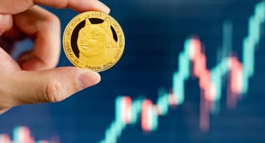 3 meme token da comprare il 12 gennaio: DOGE, SHIB e SPELL