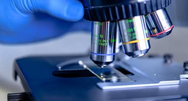 Twist Bioscience stock prediction after plunging 8% on earnings miss
