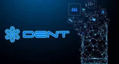 Is DENT a buying opportunity after the price collapsed?