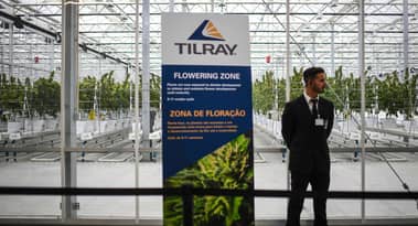 ¿Son las acciones de Tilray una oportunidad de compra después de que el precio colapsara?