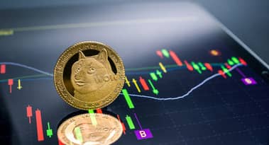 Gesetzgeber und ihre Familien wetten Tausende auf Krypto: Ist DOGE die richtige Wahl?