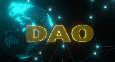 FriesDAO-Community bringt 1,47 Mio. $ in 2 Tagen auf