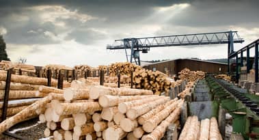 As Lumber prices recover, Weyerhaeuser (WY) stock could benefit