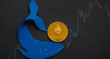 Top Ethereum whales accumulate newly launched ApeCoin (APE)