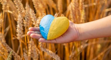 The Andersons is expected to benefit from rising wheat prices. Should you invest in the stock?