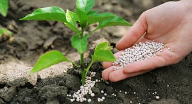 3 fertilizer stocks to buy as prices surge