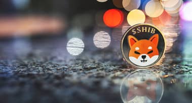 ShibaSwap launches on Shibarium unlocking new Shiba Inu functionalities