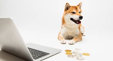 Pourquoi DOGE et SHIB valent la peine d'être achetés le 5 mai