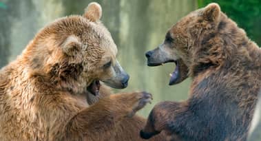 BytomDAO (BTM) price: Are bulls finally awake?