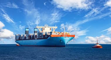 ZIM Integrated stock price: Well positioned for the new normal