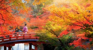 Top 3 reasons why the Bank of Japan will let the yen depreciate further