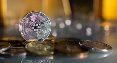 Kryptomarkt erholt sich: Cardano, KAITO und Dohrnii (DHN) führen die heutigen Gewinner an.