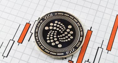 What will “Login with IOTA” mean for the future value of the token?