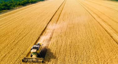La Nina threatens to escalate US drought, may affect winter wheat crop