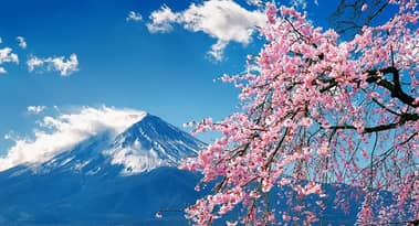 Ripple’s $666M RLUSD stablecoin to launch in Japan in 2026 with SBI Holdings