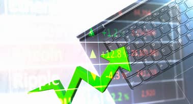 Top 4 tokens that have seen growth despite the bear market