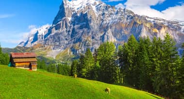 TRON is one of the most eco-friendly blockchains: CCRI research