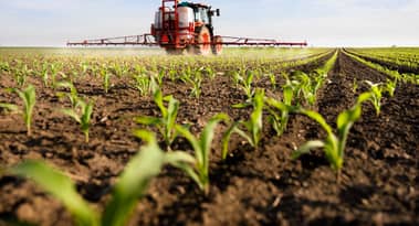 Nutrien Ltd. (NTR) is trading at the 200-day moving average but is it set to appreciate?