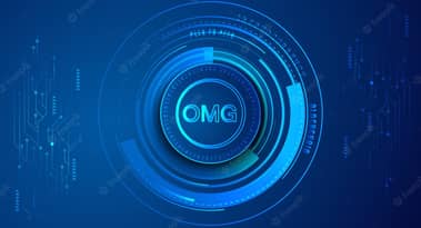 Should I invest in OMG at the current price?