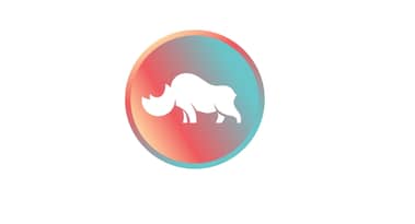 Wie sieht die Zukunft von DeFi aus? Interview mit rhino.fi