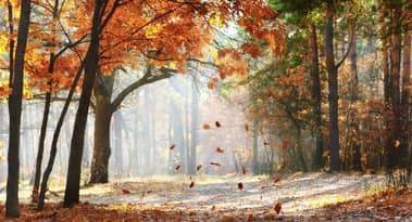 Creators of Meta's failed Diem stablecoin now launches Aptos Autumn mainnet