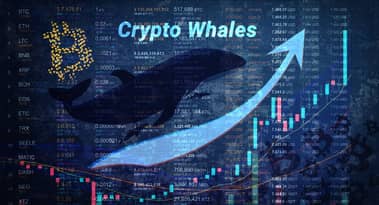 Memecoins update: whales accumulate SHIB and DOGE as market dips continue
