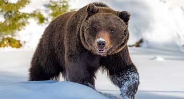 Bitcoin remains vulnerable near $16k amid FTX contagion