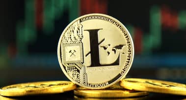 Litecoin price: Here’s why LTC has spiked 34% this week