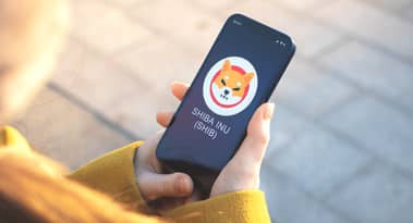 Should you buy Shiba Inu (SHIB) in November after the recent spike in activity