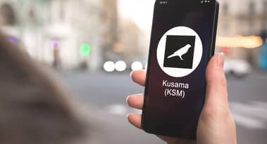 Web3 network peaq unveils its canary network krest on Kusama