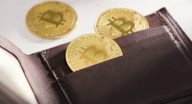 La distribuzione di Bitcoin è rimasta invariata dopo l'FTX, rimane pesante con le balene che dominano