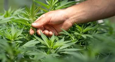 Akanda Corp receives non-compliance notice from Nasdaq