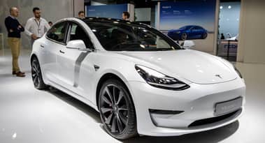 Tesla dubbed a 'new meme stock': find out more