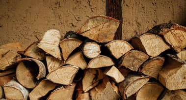 US housing data signals an improvement in lumber demand