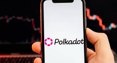 Polkadot price up 7%: surge in development activity