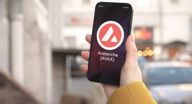 What caused the recent Avalanche AVAX price plunge?