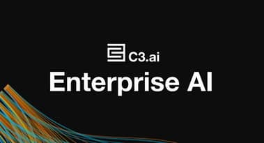 C3.ai to see 'exceptional rapid growth' in federal business under Musk-led Doge