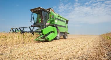 Soybeans prices forecast: Supply and demand dynamics