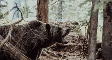 Comerica’s Lynch expects S&P 500 to retest October lows