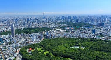 Nikkei 225 forecast as the weak yen attracts foreign investors