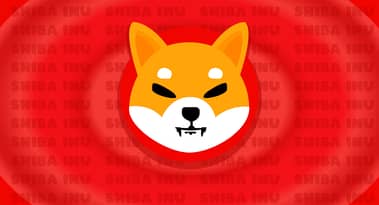 This meme coin announced liquidity boost and major update amidst ongoing rally